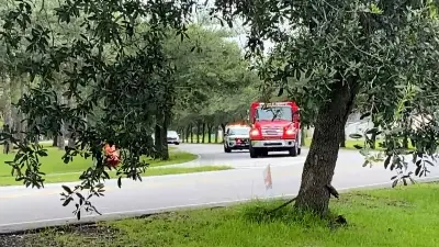 Hospitalizan a cinco soldados tras tiroteo en Fort Stewart, Georgia; el atacante fue detenido