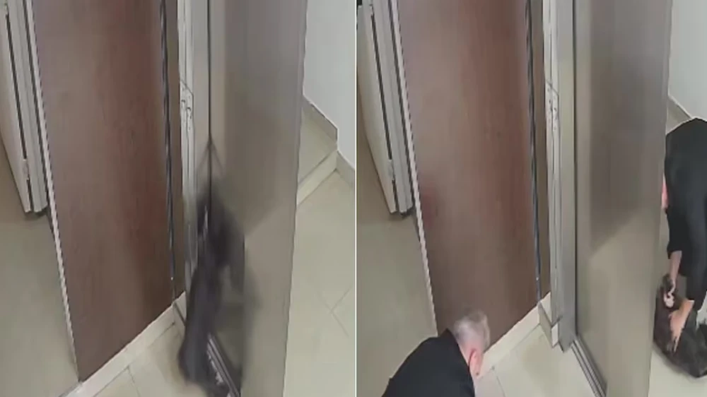 Dramático momento: se cerró el ascensor, el perro quedó colgando y el final era inevitable... hasta que apareció un héroe