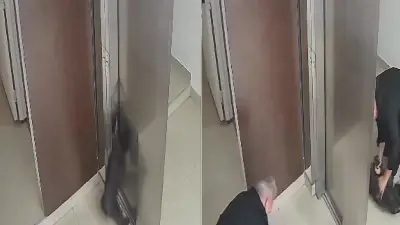 Dramático momento: se cerró el ascensor, el perro quedó colgando y el final era inevitable... hasta que apareció un héroe