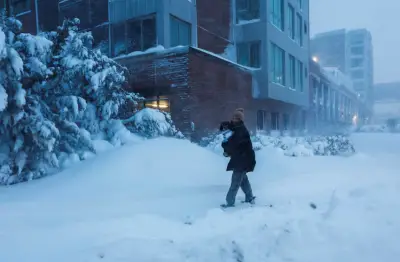 Tormenta invernal azota la costa este de Estados Unidos: millones de personas en Nueva York permanecen en sus hogares