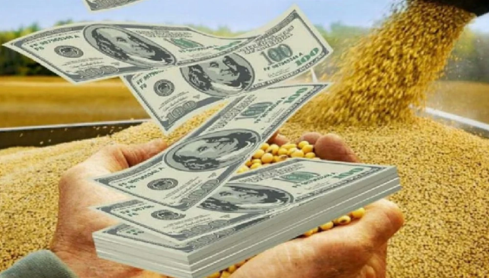 Dólar: por qué el BCRA compra menos a pesar de la buena liquidación del agro