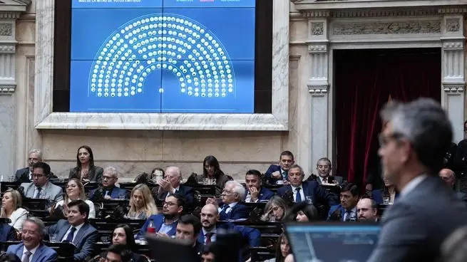 Holgada aprobación a un proyecto para fondos en discapacidad en Diputados